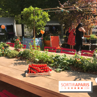 Jardins Jardin 2017 aux Tuileries, les photos