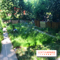 Jardins Jardin 2017 aux Tuileries, les photos