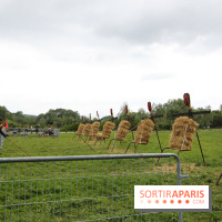 Spartan Race 2017, les photos