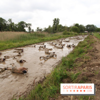 Spartan Race 2017, les photos