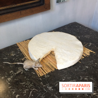 Musée des peintres de Barbizon