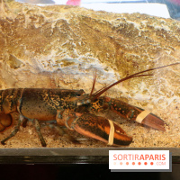 Grand Bistro Breteuil