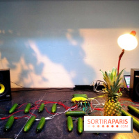 Journée Mondiale du Concombre à la Cartonnerie