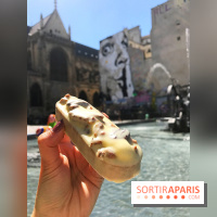 Les glaces 2017 de l'Eclair de Génie