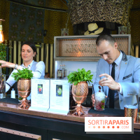 La terrasse cachée du Saint-James