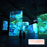 Imagine Van Gogh à la Grande Halle de la Villette