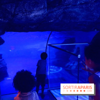 Les Manchots de l'Aquarium Sea Life