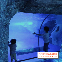 Les Manchots de l'Aquarium Sea Life