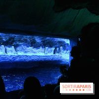 Les Manchots de l'Aquarium Sea Life