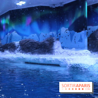 Les Manchots de l'Aquarium Sea Life