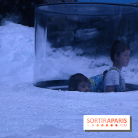 Les Manchots de l'Aquarium Sea Life