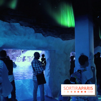 Les Manchots de l'Aquarium Sea Life