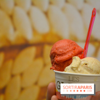 Les glaces chez Le Roy René