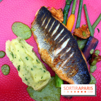 Le restaurant-terrasse des Jardins du Marais - Dorade snackée, légumes de saison