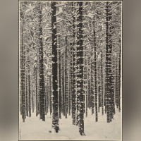 Jeu de Paume hiver 2017