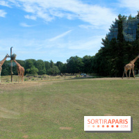 Camion Safari : une visite guidée dans les coulisses de Thoiry