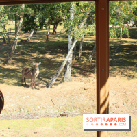 Camion Safari : une visite guidée dans les coulisses de Thoiry