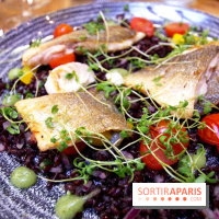 Les Fous de l'île : dorade royale