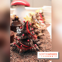 Les Bûches et créations de Noël 2017 de Christophe Michalak