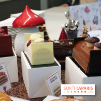 Les Bûches et créations de Noël 2017 de Christophe Michalak