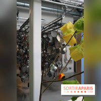 Agoramania, l'exposition gratuite du Maif Social Club