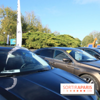 Ventes de voitures d'occasion à 'lhippodrome de St Cloud