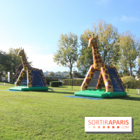 Ventes de voitures d'occasion à 'lhippodrome de St Cloud