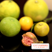 Le Limon : le nouveau resto de Juan Arbealez, les photos