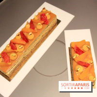 Bûche de Foucade 2017