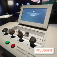 Exposition Météorites au Muséum national d'Histoire naturelle, les photos