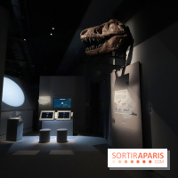 Exposition Météorites au Muséum national d'Histoire naturelle, les photos