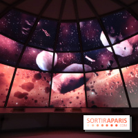 Exposition Météorites au Muséum national d'Histoire naturelle, les photos