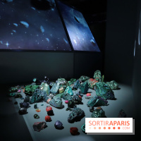 Exposition Météorites au Muséum national d'Histoire naturelle, les photos