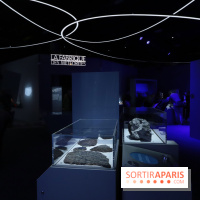 Exposition Météorites au Muséum national d'Histoire naturelle, les photos