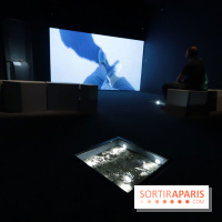 Exposition Météorites au Muséum national d'Histoire naturelle, les photos