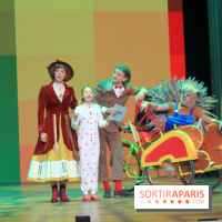 Emilie Jolie, la comédie musicale 2017/2018