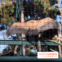 Mission Protéger au Parc Zoologique