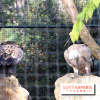 Mission Protéger au Parc Zoologique