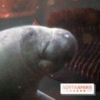 Mission Protéger au Parc Zoologique