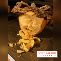 Halloween au Parc Astérix 2017