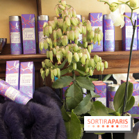 Noël 2017 chez Mariage Frères