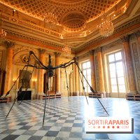 Women House à la Monnaie de Paris - Louise Bourgeois, Spider, 1995