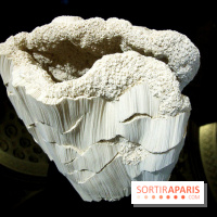 Un monde de plis à la chapelle Expiatoire