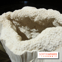 Un monde de plis à la chapelle Expiatoire