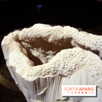 Un monde de plis à la chapelle Expiatoire