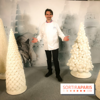 Les Bûches 2017 et galette des rois 2018 de Lenôtre