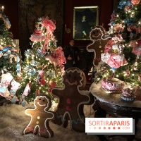 Noël 2017 à Vaux le Vicomte