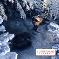 Noël 2017 à Vaux le Vicomte