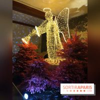 Noël 2017 à Vaux le Vicomte