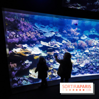 Peppa Pig débarque à l’Aquarium de Paris